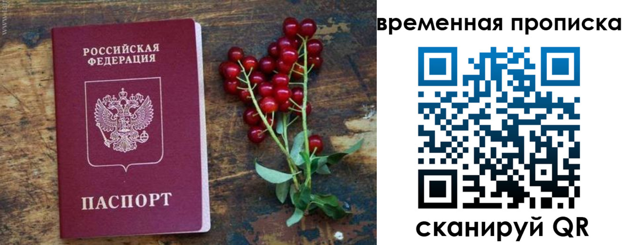 временная регистрация гарантия в Вологде